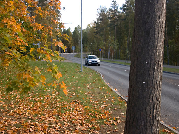 Munckinkatua